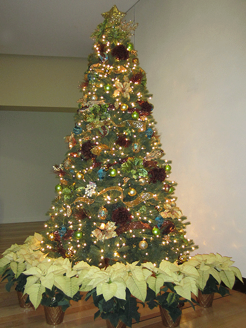 Christmas Tree Bronze
